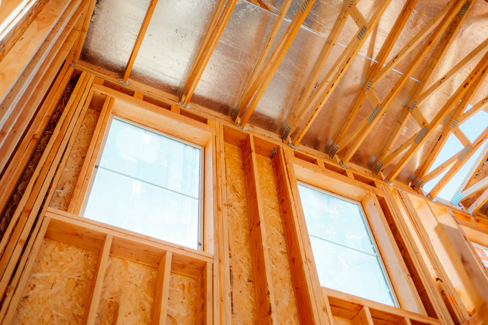 Quensus and Tector: Partnership for CLT, Flat Roofs, and Hidden Moisture