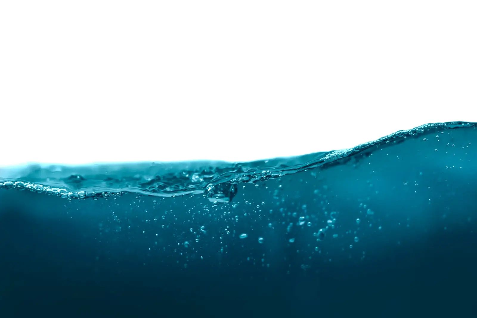 Leaks in Hiding - The Ones That Got Away